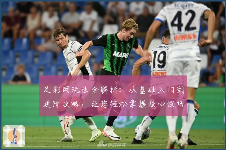 足彩网玩法全解析：从基础入门到进阶攻略，让您轻松掌握核心技巧