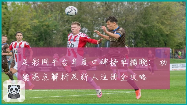 足彩网平台年度口碑榜单揭晓:功能亮点解析及新人注册全攻略