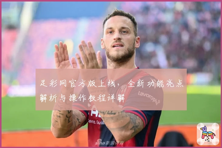 足彩网官方版上线，全新功能亮点解析与操作教程详解