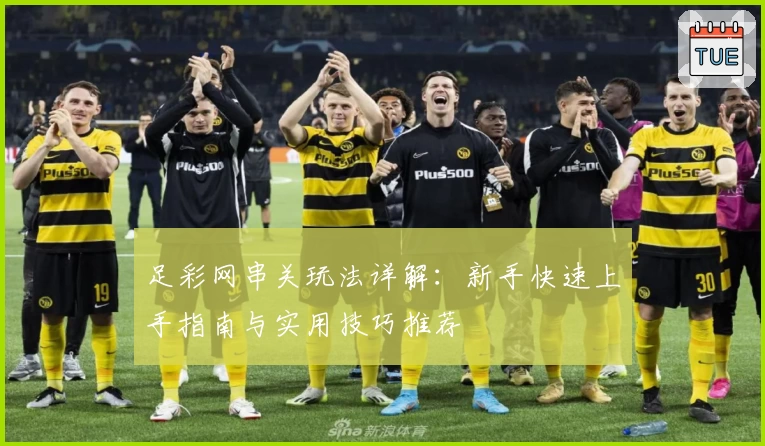 足彩网串关玩法详解：新手快速上手指南与实用技巧推荐